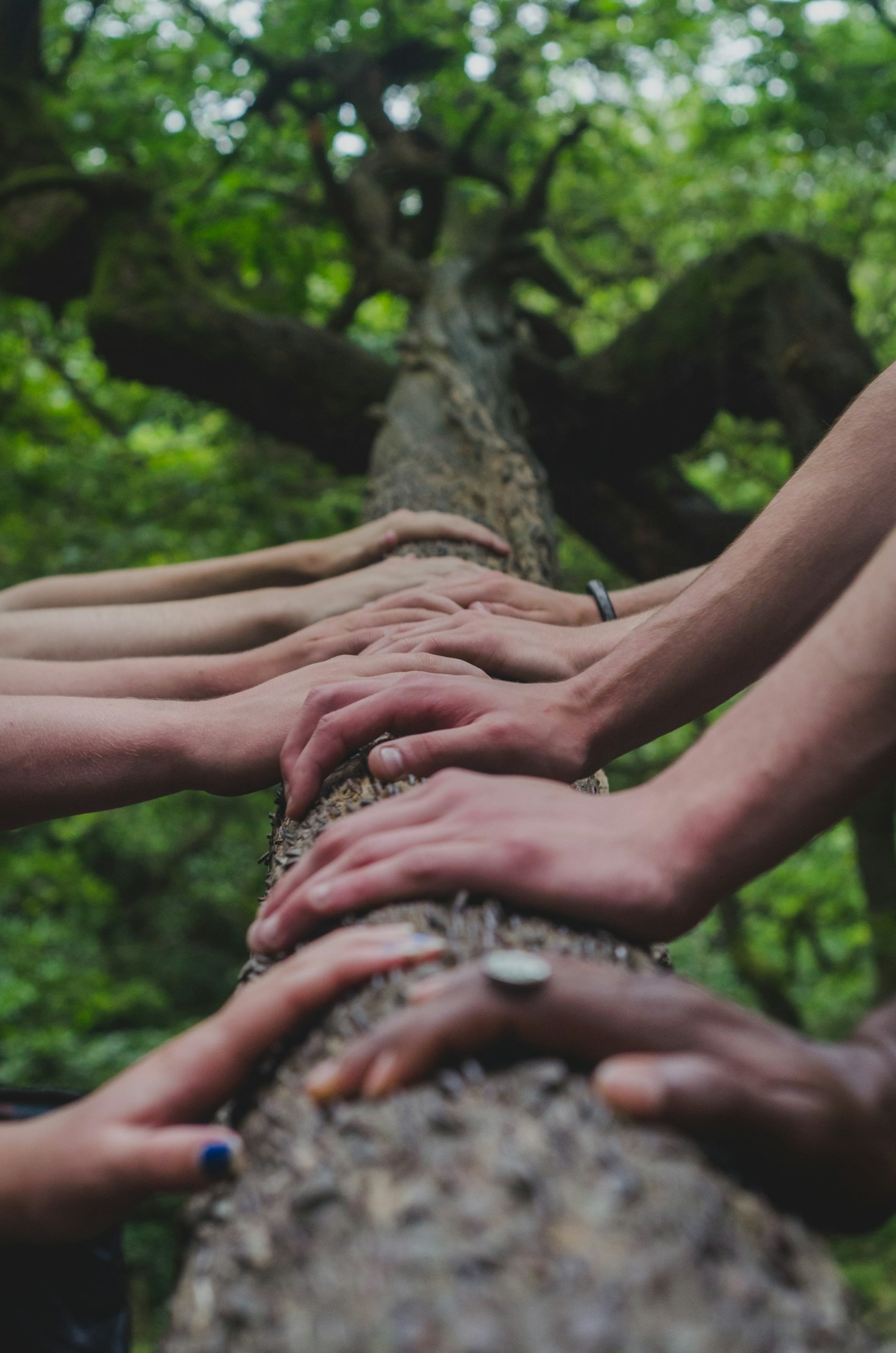Celebrating the Resilience of HIV Survivors